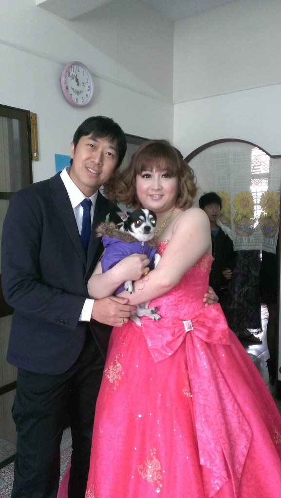 订婚Registry of Marriage