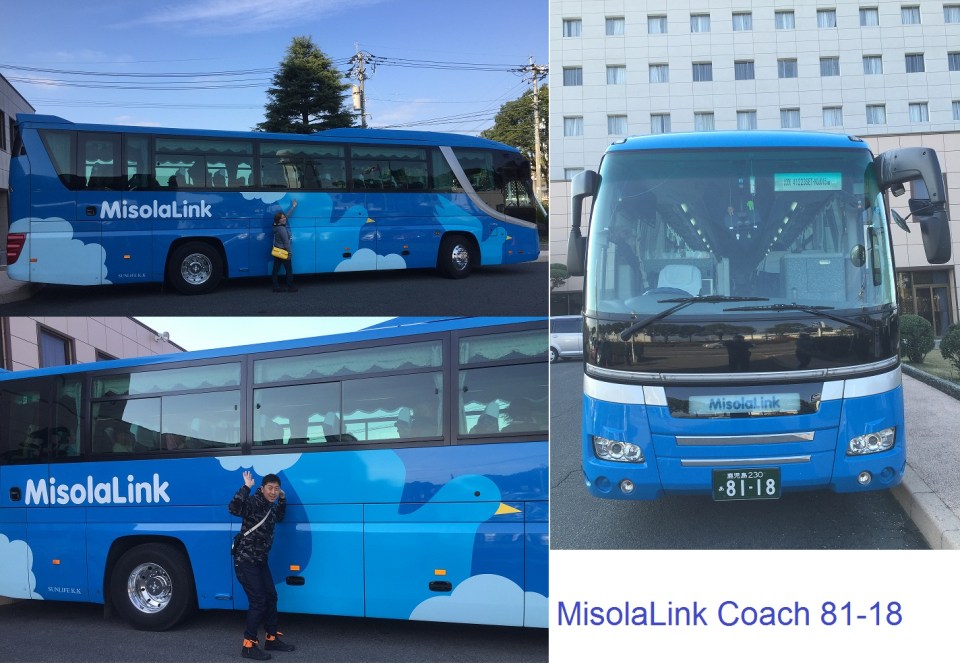 MisolaLink Coach 8118