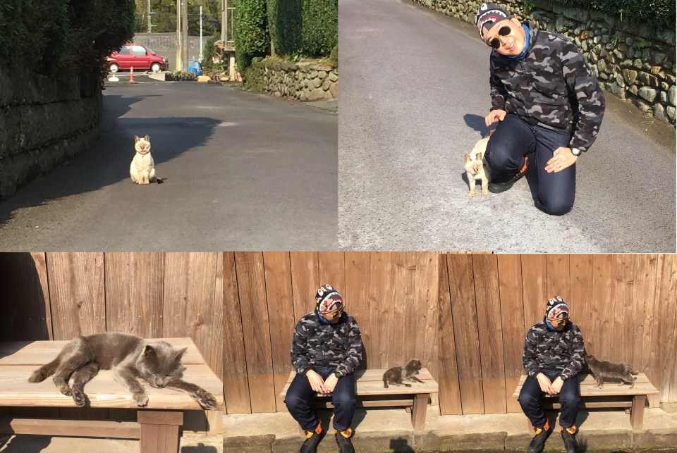 知覽武家屋敷群-猫